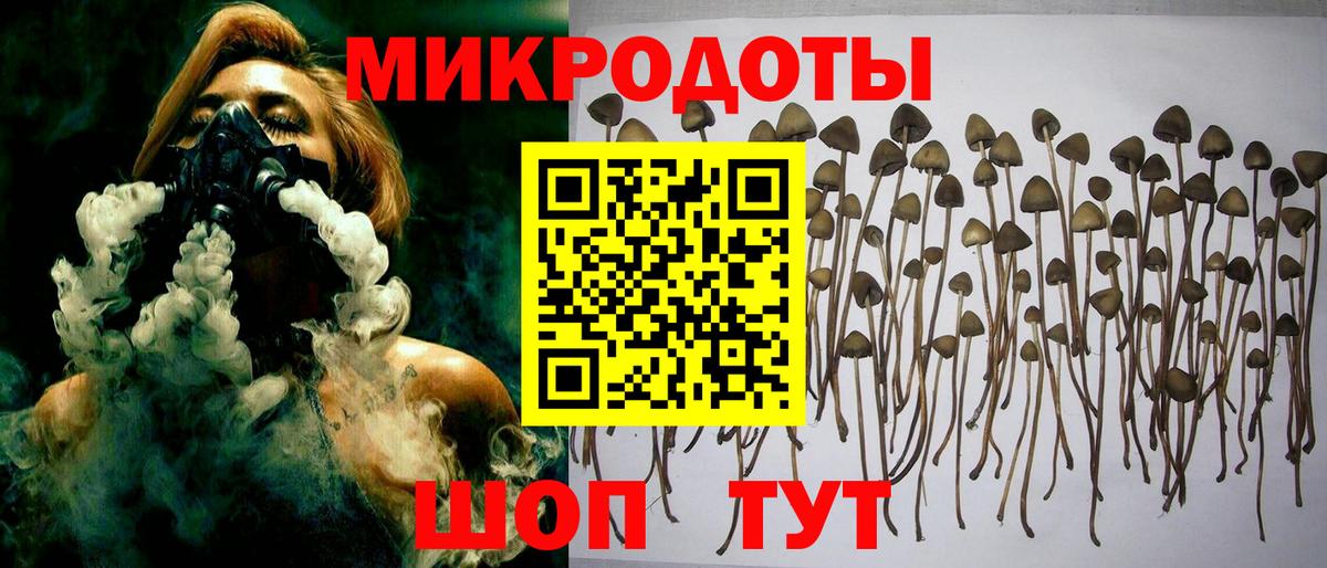 хочу   Вход с VPN  Сокол  Галлюциногенные грибы мухоморы 