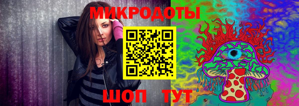 Галлюциногенные грибы Psilocybe Сокол